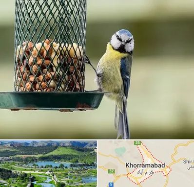 فروشگاه غذای پرندگان در خرم آباد