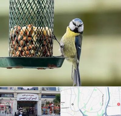 فروشگاه غذای پرندگان در ایران زمین