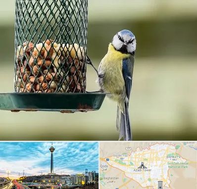 فروشگاه غذای پرندگان در تهران