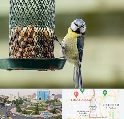 فروشگاه غذای پرندگان در ونک