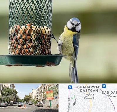 فروشگاه غذای پرندگان در چهارصد دستگاه