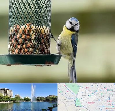 فروشگاه غذای پرندگان در کوهسنگی مشهد