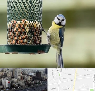فروشگاه غذای پرندگان در زرتشت