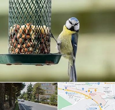 فروشگاه غذای پرندگان در مهرویلا کرج