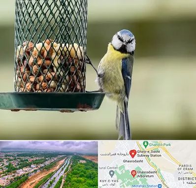 فروشگاه غذای پرندگان در قصرالدشت شیراز