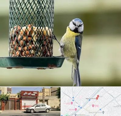 فروشگاه غذای پرندگان در باجک قم