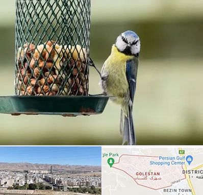 فروشگاه غذای پرندگان در شهرک گلستان شیراز