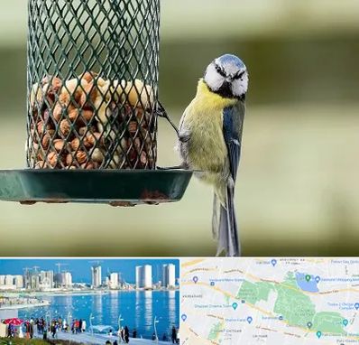 فروشگاه غذای پرندگان در چیتگر