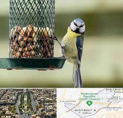 فروشگاه غذای پرندگان در نارمک