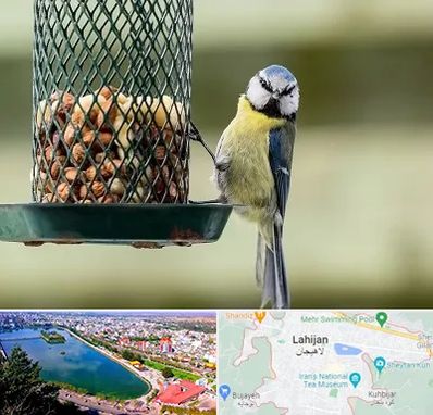 فروشگاه غذای پرندگان در لاهیجان