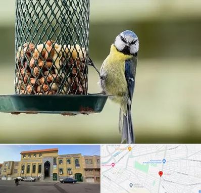 فروشگاه غذای پرندگان در زنبیل آباد قم