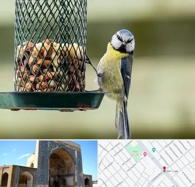 فروشگاه غذای پرندگان در مصلی مشهد