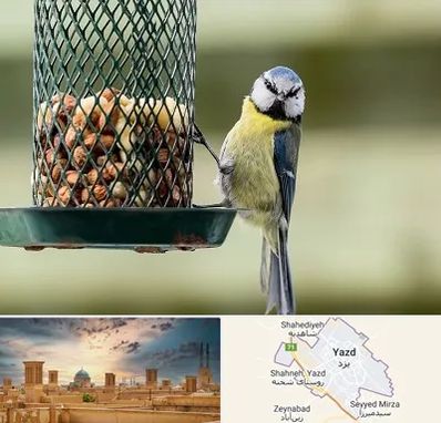 فروشگاه غذای پرندگان در یزد