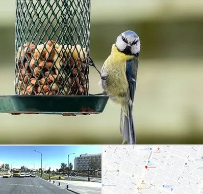 فروشگاه غذای پرندگان در بلوار کلاهدوز مشهد