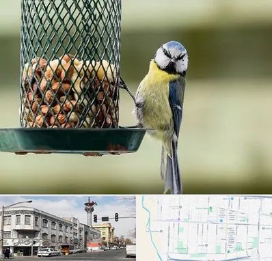 فروشگاه غذای پرندگان در 17شهریور