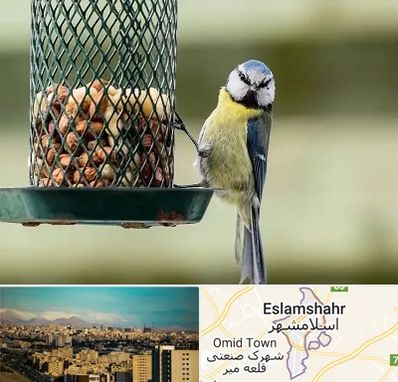 فروشگاه غذای پرندگان در اسلامشهر