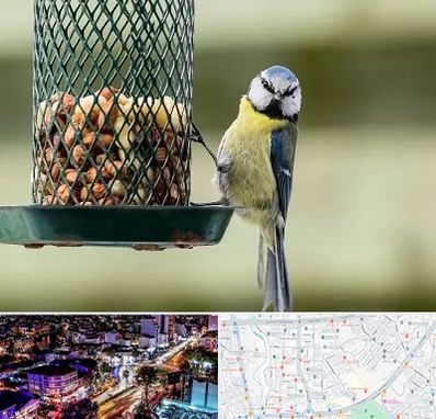 فروشگاه غذای پرندگان در منظریه رشت