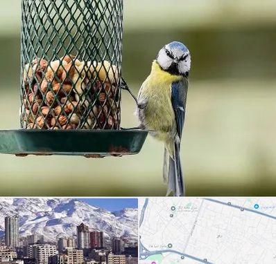 فروشگاه غذای پرندگان در ازگل