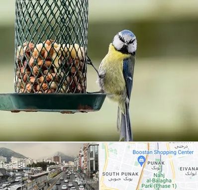فروشگاه غذای پرندگان در پونک