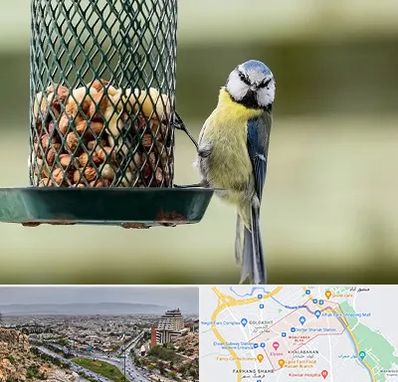 فروشگاه غذای پرندگان در معالی آباد شیراز