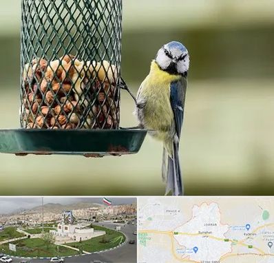فروشگاه غذای پرندگان در بومهن