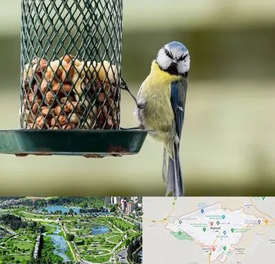 فروشگاه غذای پرندگان در بجنورد