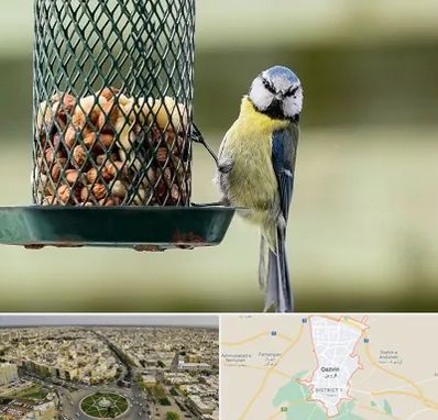 فروشگاه غذای پرندگان در قزوین