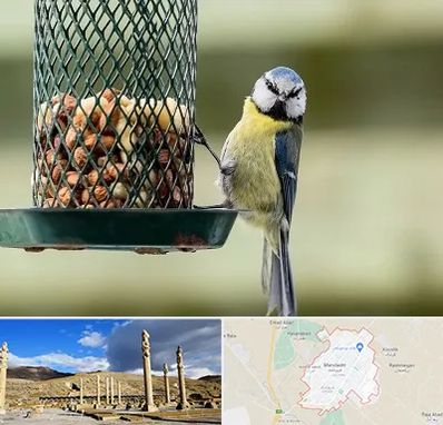 فروشگاه غذای پرندگان در مرودشت