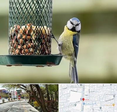 فروشگاه غذای پرندگان در خیابان توحید اصفهان