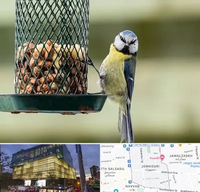 فروشگاه غذای پرندگان در جمهوری