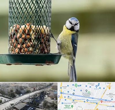 فروشگاه غذای پرندگان در فرجام