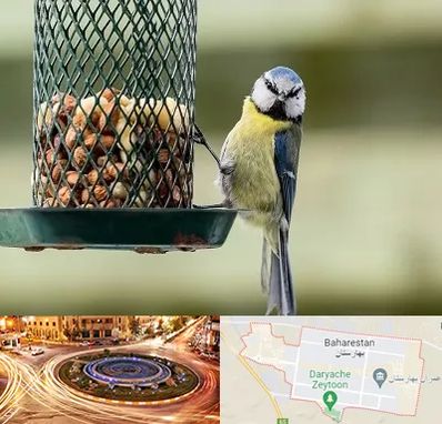 فروشگاه غذای پرندگان در بهارستان