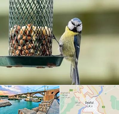 فروشگاه غذای پرندگان در دزفول