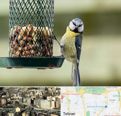 فروشگاه غذای پرندگان در مرزداران