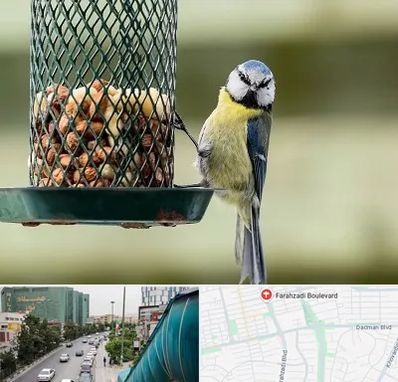 فروشگاه غذای پرندگان در بلوار فرحزادی