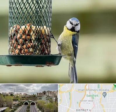 فروشگاه غذای پرندگان در یوسف آباد