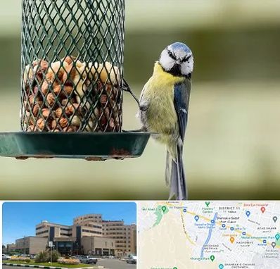 فروشگاه غذای پرندگان در صیاد شیرازی مشهد