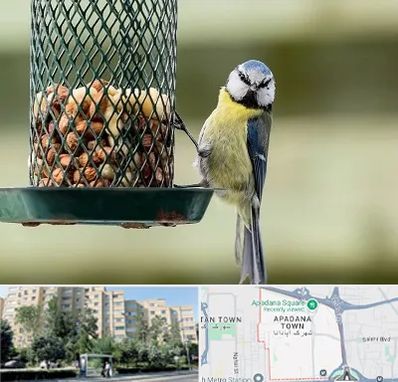 فروشگاه غذای پرندگان در آپادانا