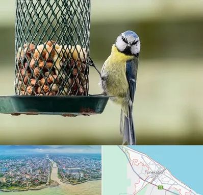 فروشگاه غذای پرندگان در تنکابن