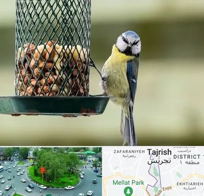فروشگاه غذای پرندگان در تجریش