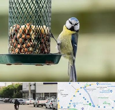 فروشگاه غذای پرندگان در قدوسی شرقی شیراز