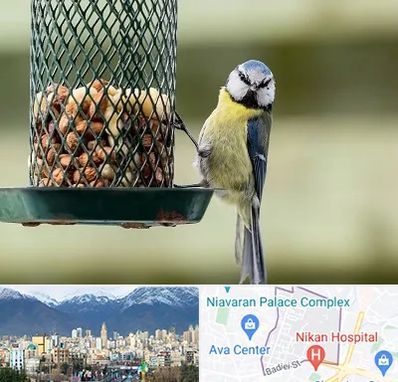 فروشگاه غذای پرندگان در آجودانیه