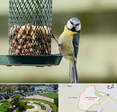 فروشگاه غذای پرندگان در مهرشهر کرج
