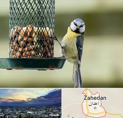 فروشگاه غذای پرندگان در زاهدان