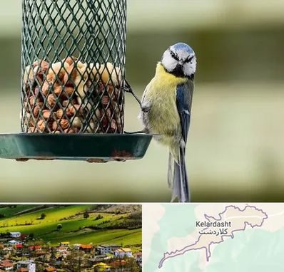 فروشگاه غذای پرندگان در کلاردشت