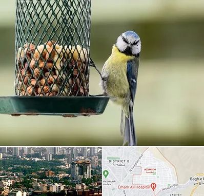 فروشگاه غذای پرندگان در عظیمیه کرج