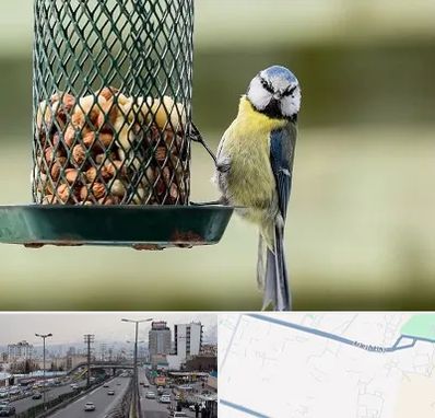 فروشگاه غذای پرندگان در بلوار ارتش