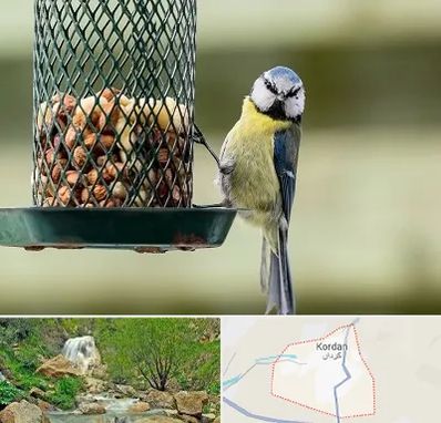 فروشگاه غذای پرندگان در کردان