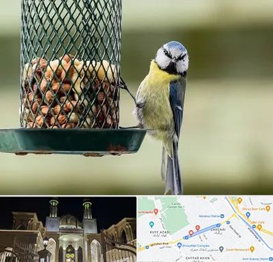 فروشگاه غذای پرندگان در زرگری شیراز