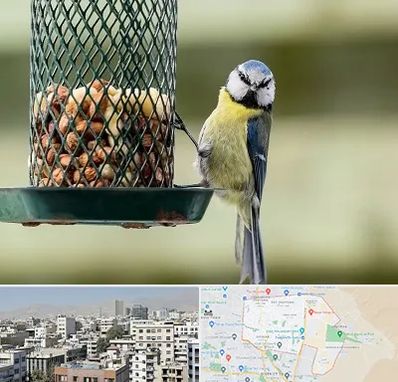 فروشگاه غذای پرندگان در منطقه 14 تهران